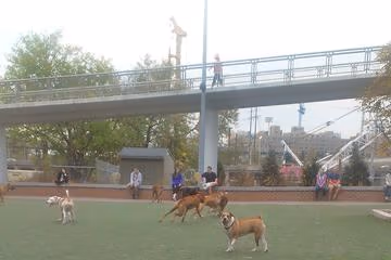 Dog Park at Schuylkill River Park